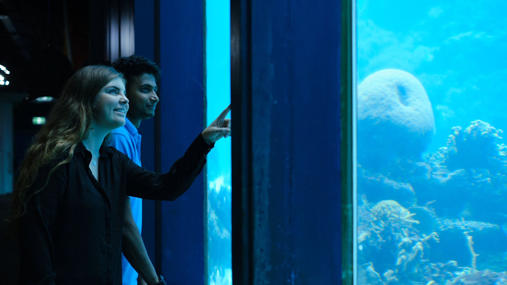 Queensland Lifestyle  Image