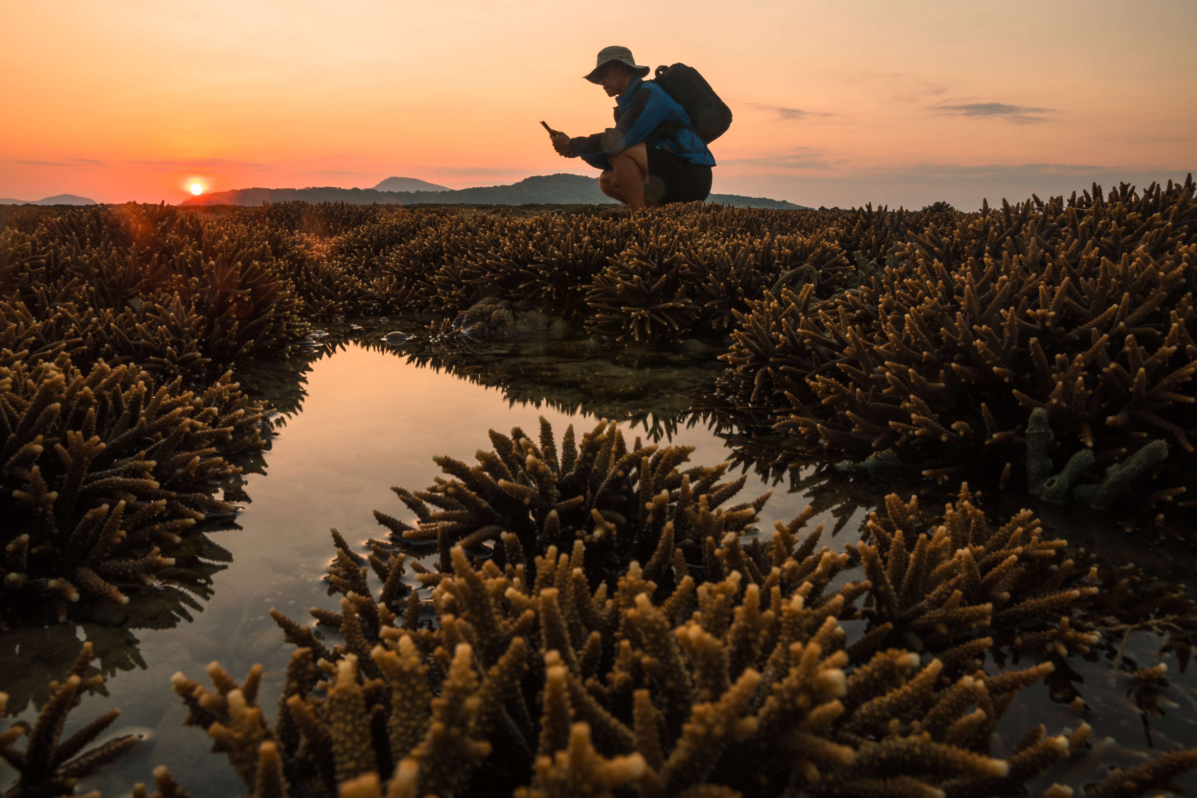 Marine science student doing a field survey at low tide of hard coral. 